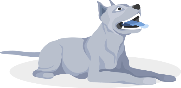 App to block unwanted calls Block phone number app CallHound by Redwerk